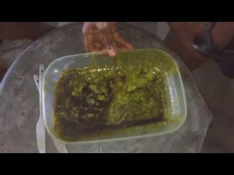 How to Make Virgin Avocado Oil at Home