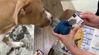 Barkbox Super Chewer June 2021 Opening
