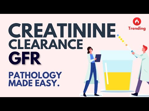 Creatinine Clearance l GFR l Pathology Made Easy