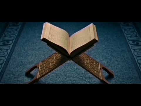 وسكنتم في مساكن الذين ظلموا أنفسهم وتبين لكم كيف فعلنا بهم وضربنا لكم الأمثال 45 إبراهيم