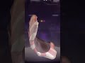 Free Fire Max new upcoming event Free  #shorts #shortsviral #shortvideo