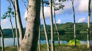 solo camping ( status WA )