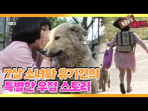 [TV 동물농장 레전드] ‘7살 소녀와 떠돌이 견의 우정’ 풀버전 다시보기 I TV동물농장 (Animal Farm) | SBS Story