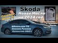 Skoda    2024         300 2024