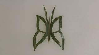 Bamboo Leaf Butterfly!