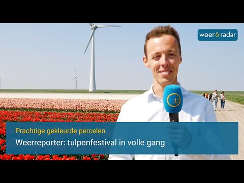 Prachtig gekleurde percelen