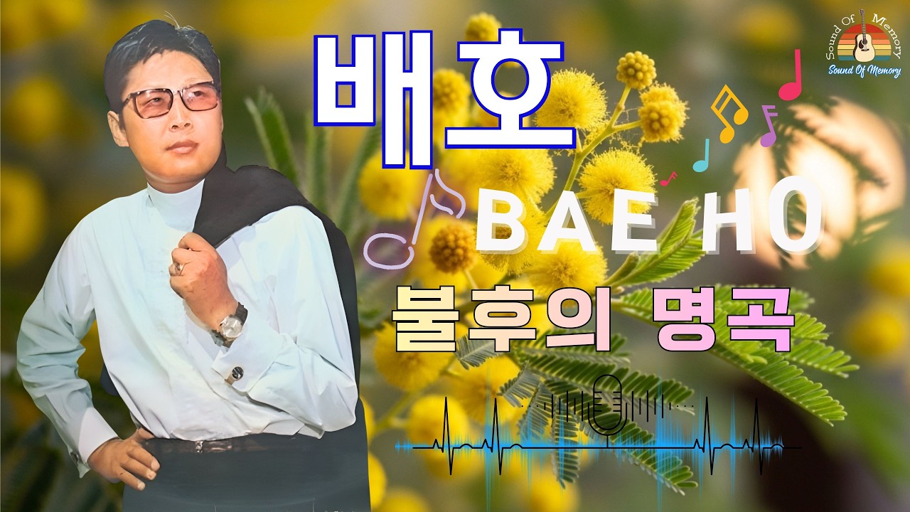 배호 추억의 명곡 모음집 🎶 배호(Bae Ho) (오리지날 힛송 총결산) 🎶 20곡 🍭 마음을 울리는 추억의 노래 모음