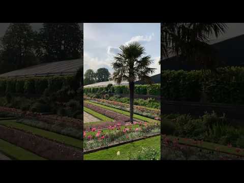 Видео: Посетете Kensington Roof Gardens