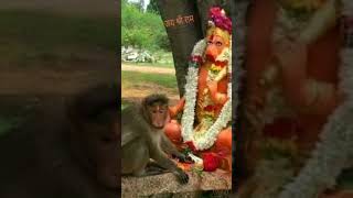 hanuman chalisa fast  shreeram trending ytshorts video shorts ayodhya indian nepal om god