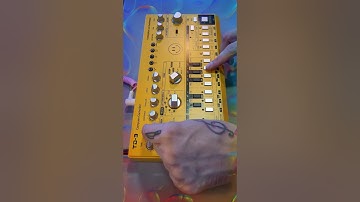 TD-3 AM Jam #behringertd3 #synthesizer