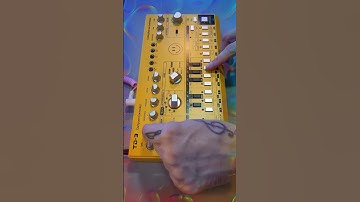 TD-3 AM Jam #behringertd3 #synthesizer