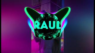 Bro_Raul - Reckol - Transkobuskas(Remix) Resimi