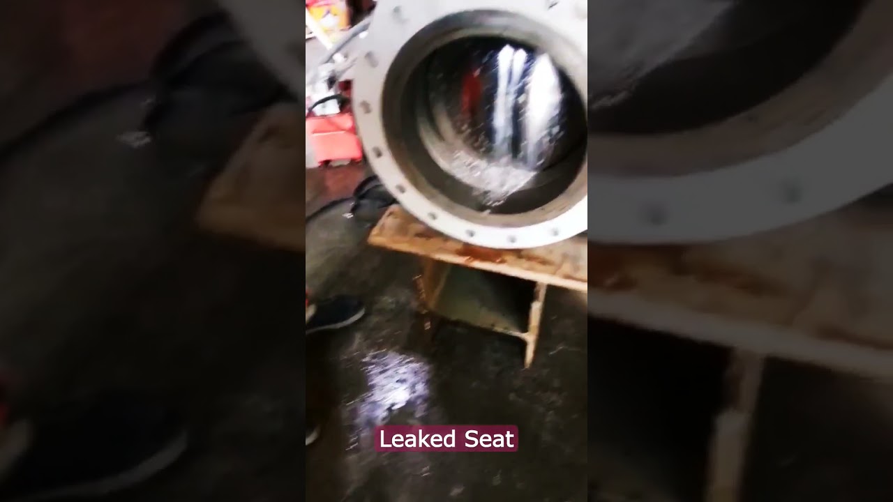 Ball Valve seat Leaked... 