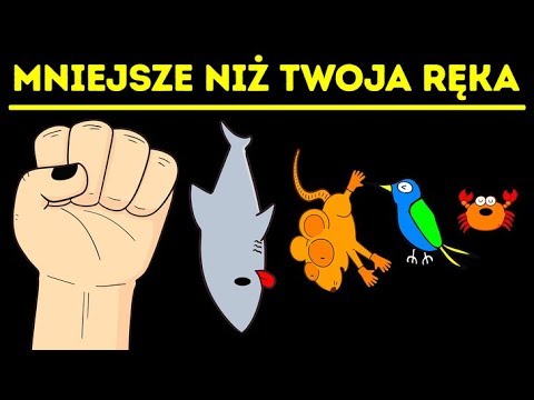 Wideo: Różnica Między Rybami A Ssakami