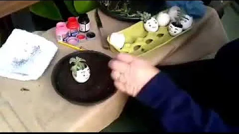 Como plantar mudinhas na caixa de ovo?