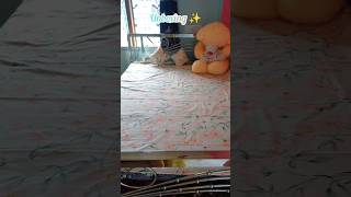 Unboxing Bedsheet 🛏 #youtubeshorts #messho #unboxing #parcel #new #shortvideo #2026