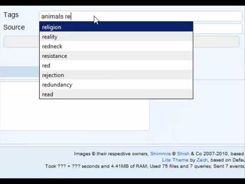 autocomplete.mp4