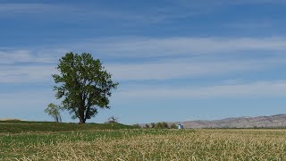 Mike Baker | Soil Management on Wyoming Farms and Ranches