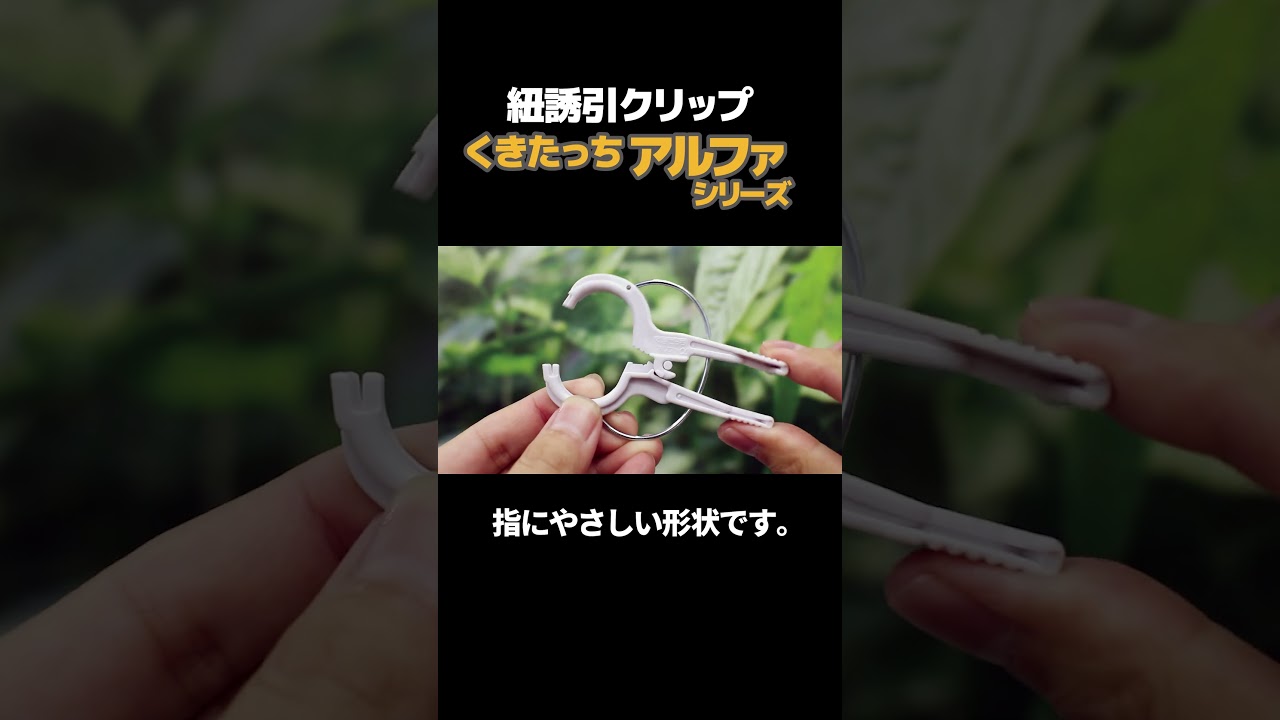 くきたっちアルファシリーズ(紐誘引クリップ) #shorts #クリップ #農業