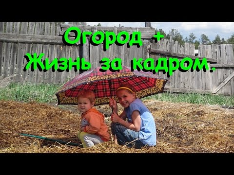 Семья Бровченко. Огород + Жизнь за кадром (ч.7) - помощь детей, поливаем, мульчируем. (07.16г.)