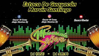 Estaca De Guayacán • Marvin Santiago • Melomania Salsera 🎶