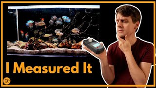 Which Aquarium Filter Actually Makes Water Clearest