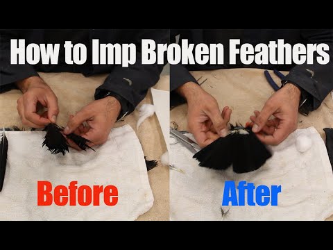 How to Imp