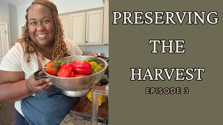 What I Did With This Week s Garden Harvest Salsa Okra Peppers