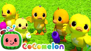 Five Little Ducks Adventure! | Animals For Children | CoComelon Nursery Rhymes & Kids Songs