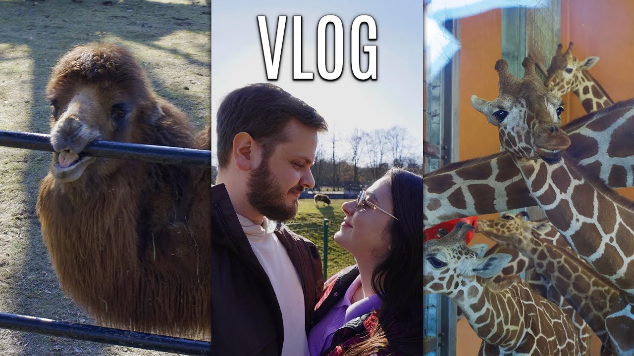 VLOG: Мы не ожидали ЭТО увидеть в зоопарке Катовице 😳🐘 | Новый ТЦ и очень вкусный буфет 🥘💕