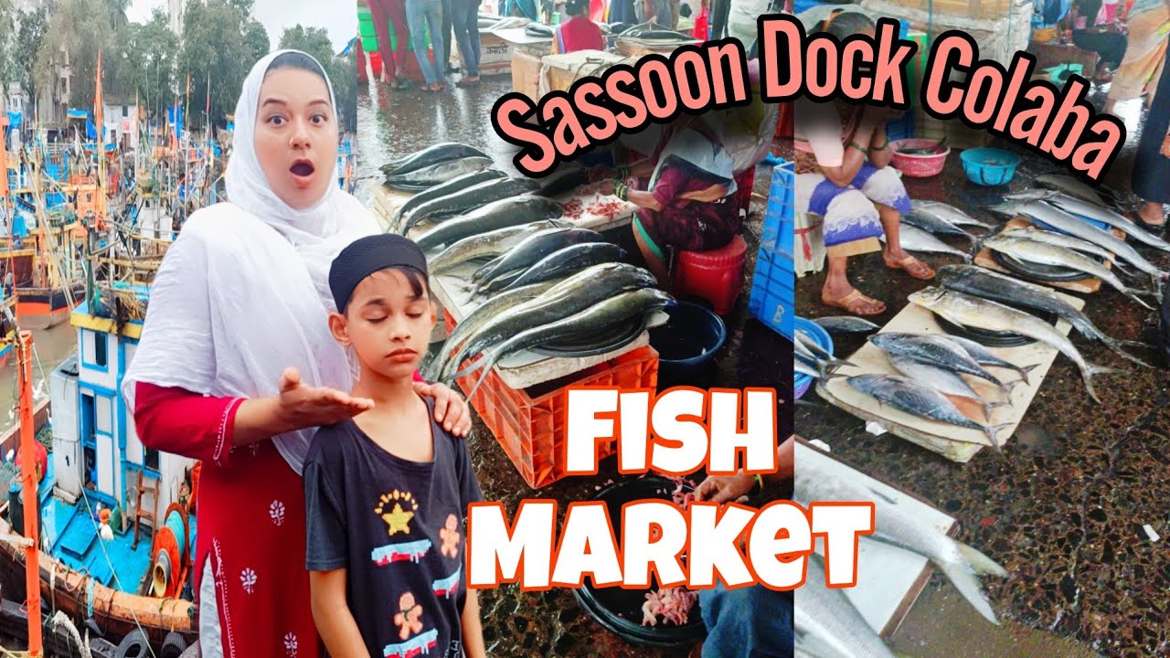 Sassoon Dock Whole Sale Fish Market 🐠/Hamara jana Bekar Hogaya/ Fish ...