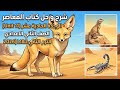 شرح و حل Unit 11 Lessons 1 2 تانية إعدادي كتاب المعاصرالمنهج الجديد 2026 الوحدة الحادية عشر ترم ثان 