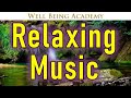 Relaxing music 24/7 - Relax your mind body and soul, Study, Spa, Meditation