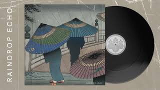 Raindrop Echo
