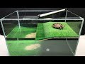 How to Make Amazing Golf House for Turtle at Home