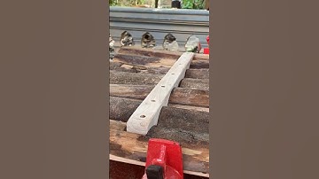 Build A Simple Table From Monolithic Tree Trunks Part 2 #woodworking #shorts #woodwork #woodworker