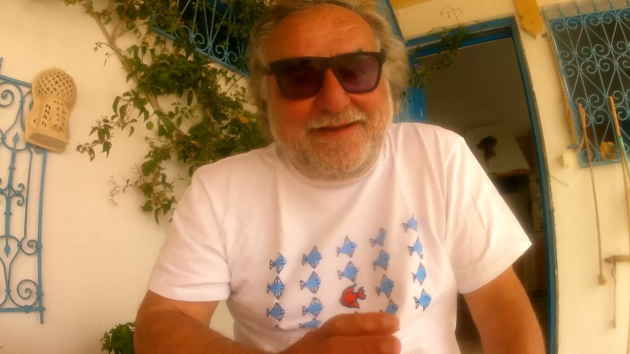 ⁣Un omaggio al delfino, compagno di viaggio dei navigatori