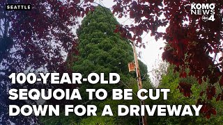 Activists rally to save century-old sequoia as demolition looms in Seattle neighborhood