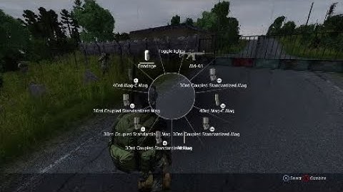 Dayz frozen screen *