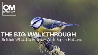 The Big Walkthrough - British Wildlife Edition With Espen Helland