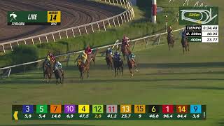Vidéo de la course PMU PREMIO GRILLITO