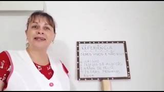 EXPERIÊNCIA: SERES VIVOS E NÃO VIVOS - PARTE 1 EXPERIÊNCIA: SERES VIVOS E NÃO VIVOS - PARTE 1
