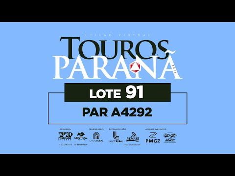 LOTE 91 PAR A4292