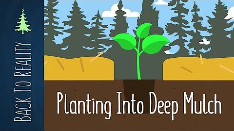 Planting into a Ruth Stout Garden (Quick Overview)