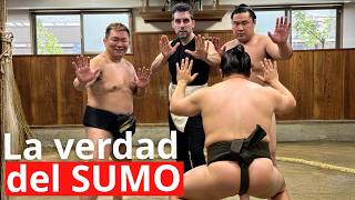 Mi Pelea Con Mi Luchador De Sumo - La Cara Oculta Del Sumo