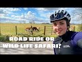 Road riding with alpacas  2021 cannondale supersix evo