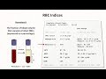 How to interpret rbc indices eg hemoglobin vs hematocrit mcv rdw