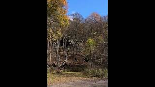 A Fall Journey Through the Village of Big Mountain, a Forgotten Coal Patch Town