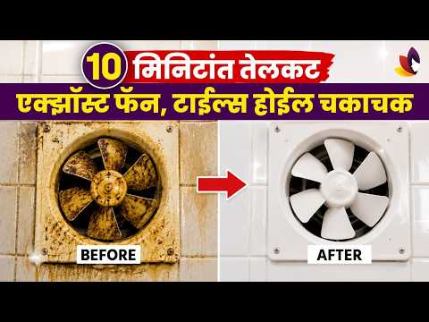 किचनच्या टाइल्स आणि एक्झॉस्ट फॅन होतील चकाचक, १० उपाय | Kitchen Cleaning | Kitchen Tips
