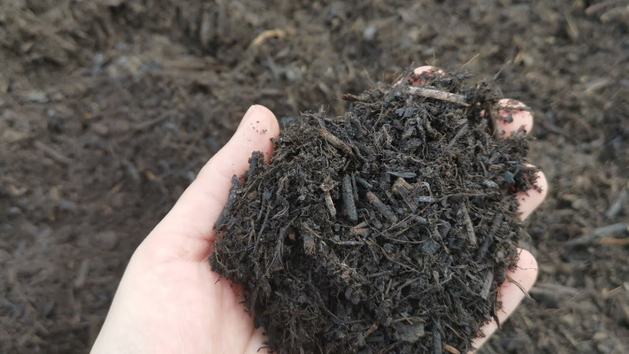 Allotment Vlog | I've Got A Delivery!